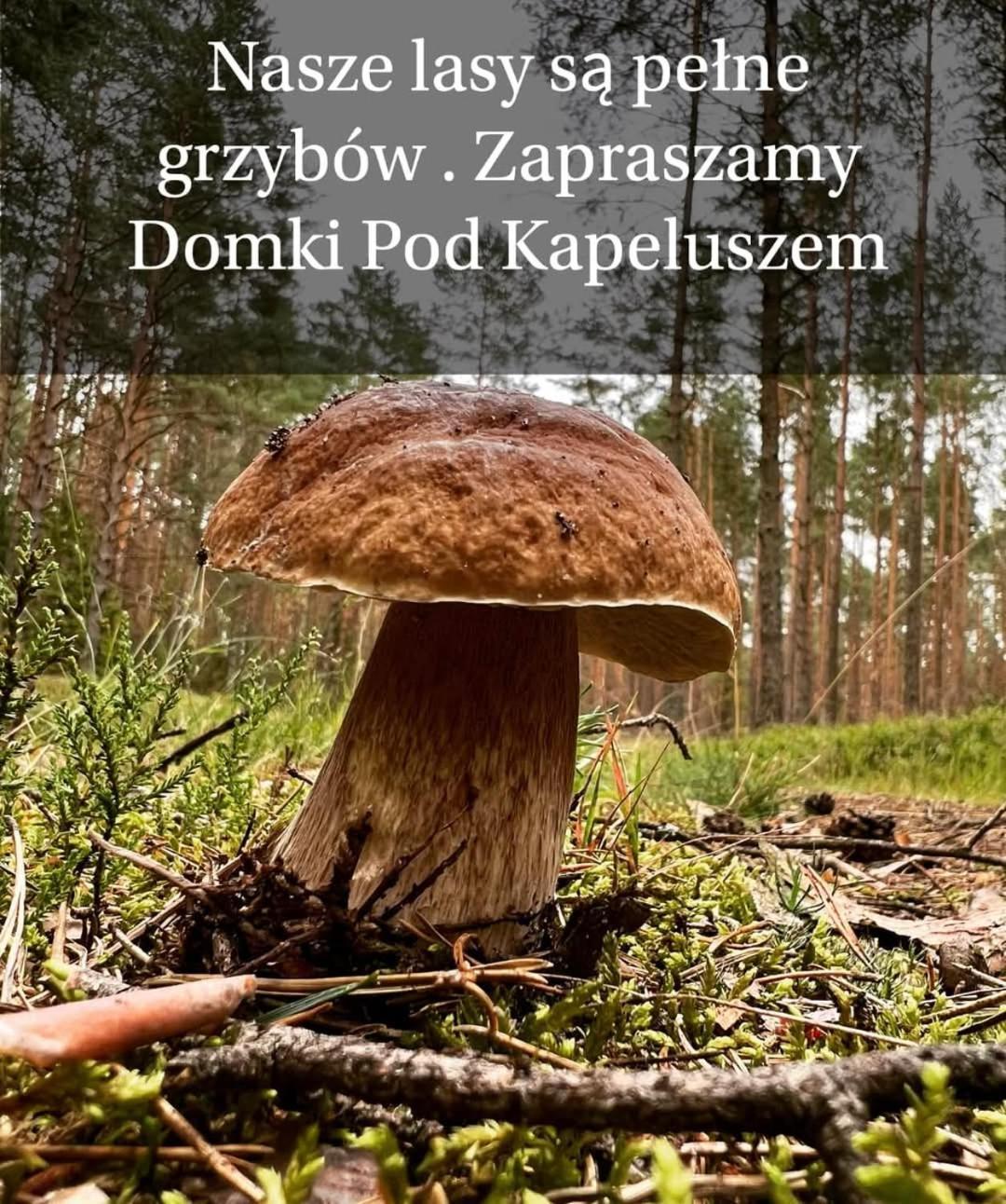 Domki Pod Kapeluszem Kolo Wiezycy Nad Jeziorem Patulskim Z Opcja Balii,Na Kaszubach,Rowery,Atrakcje Pierszczewo Zewnętrze zdjęcie